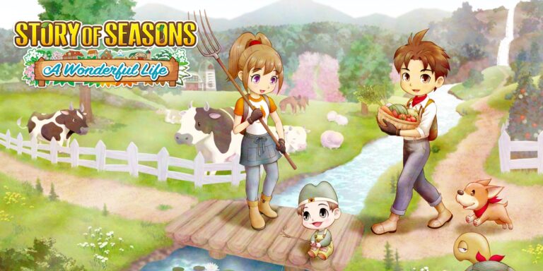 Story of Seasons A Wonderful Life